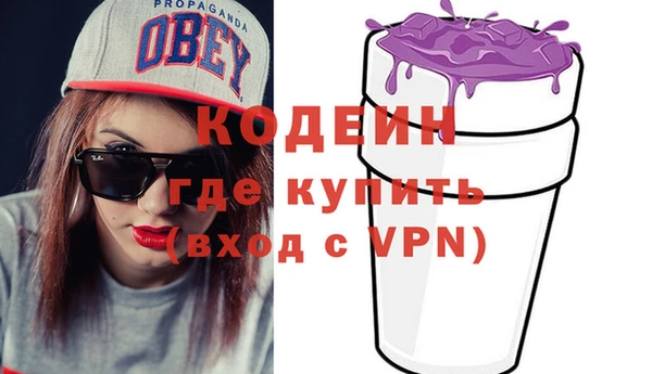 гашик Алексин