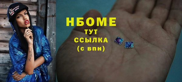 гашик Алексин
