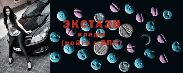 гашик Алексин