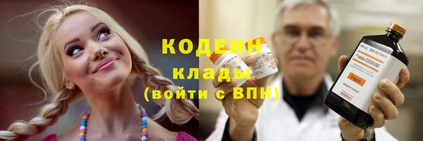 гашик Алексин