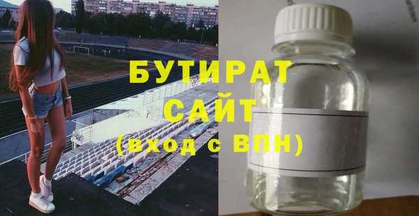 гашик Алексин