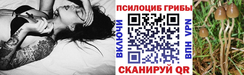 маркетплейс клад  Кыштым  Галлюциногенные грибы Cubensis  mega онион 